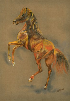 Freehand Drawing- pastel color H 40X W 30 CM 